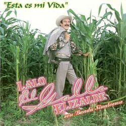 Cover of Esta Es Mi Vida Con Banda Sinaloense