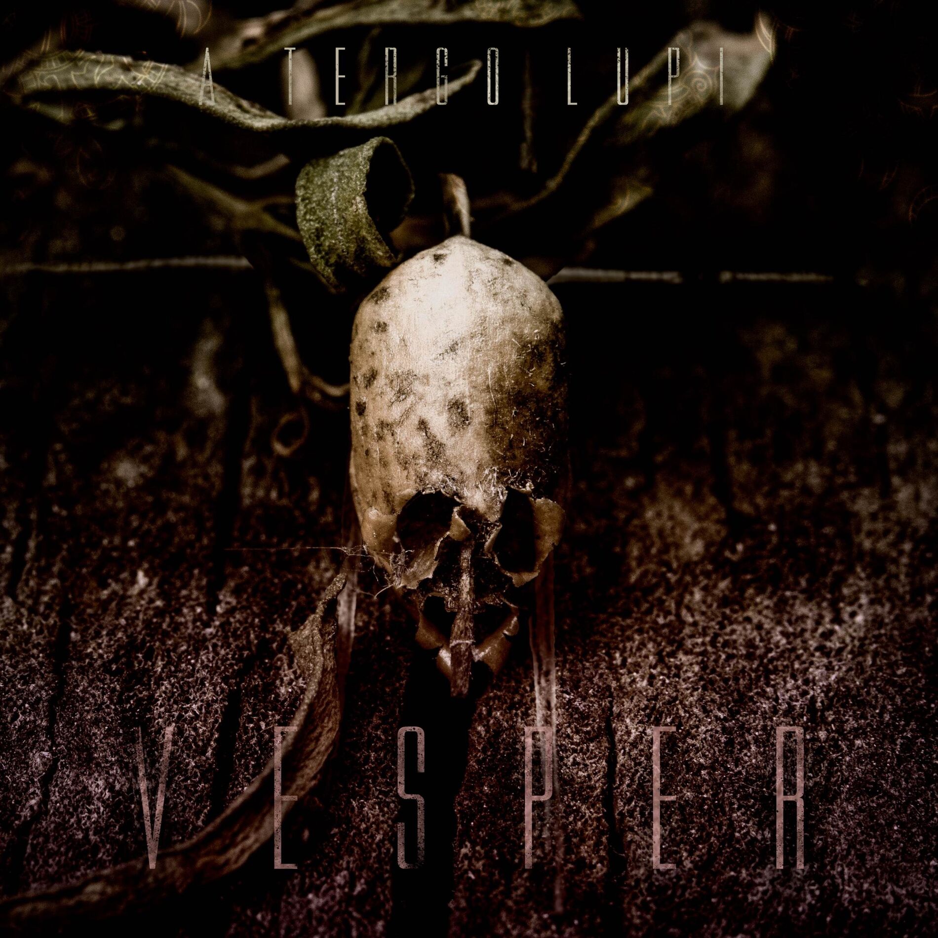Album cover of Vesper