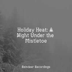 Cover of Holiday Heat: A Night Under the Mistletoe