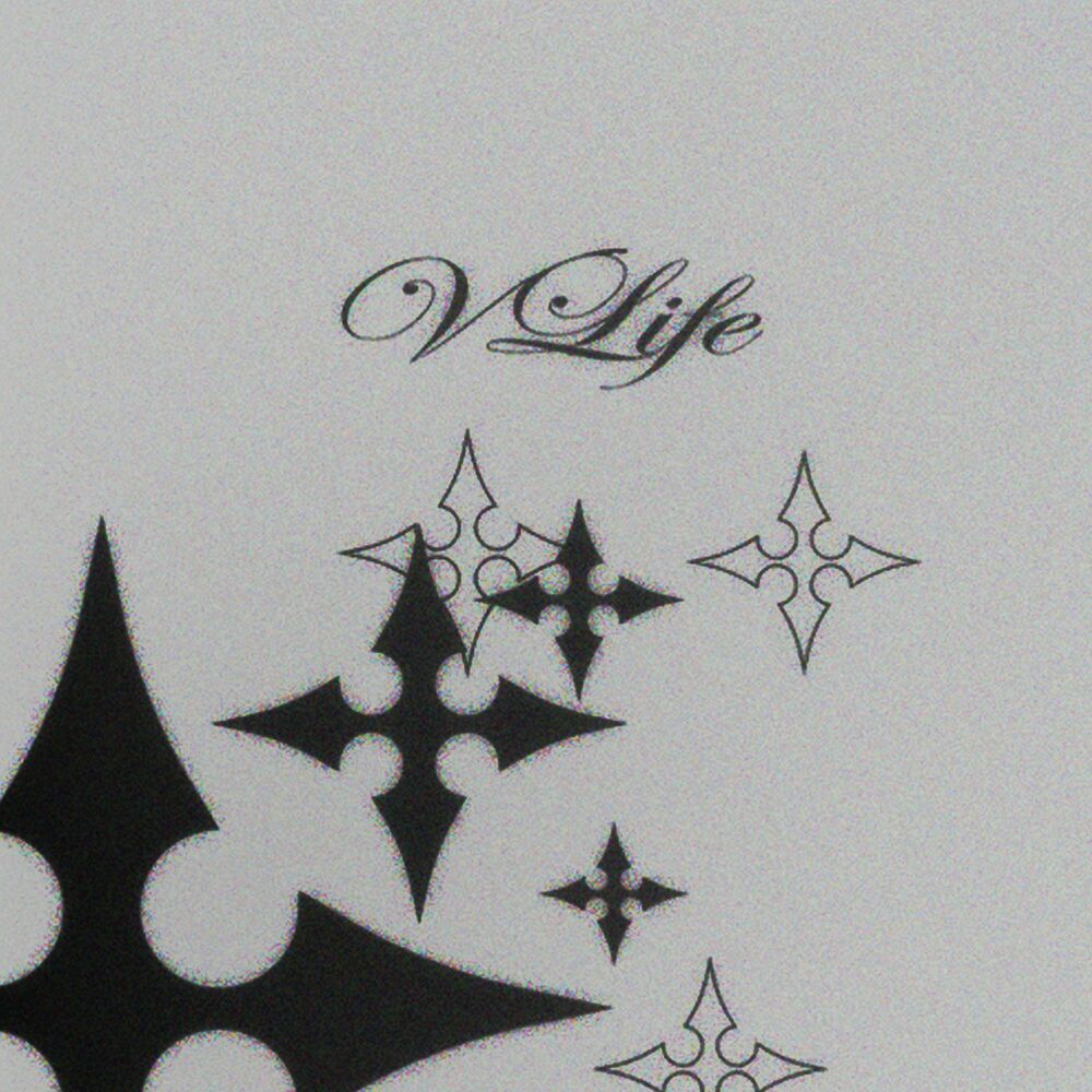 Picture of VLife