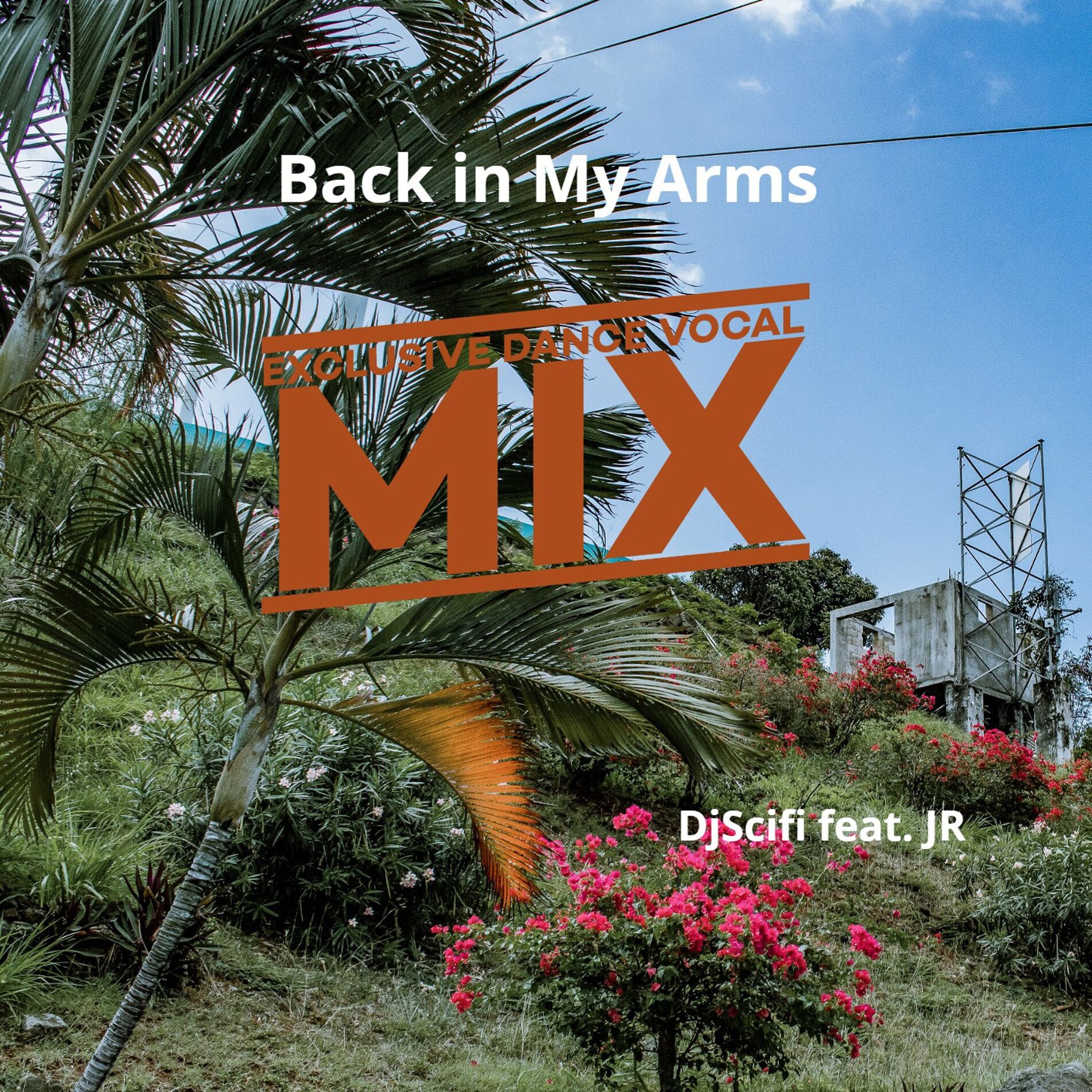 Album cover of Back in My Arms (Exclusive Dance Vocal Mix)