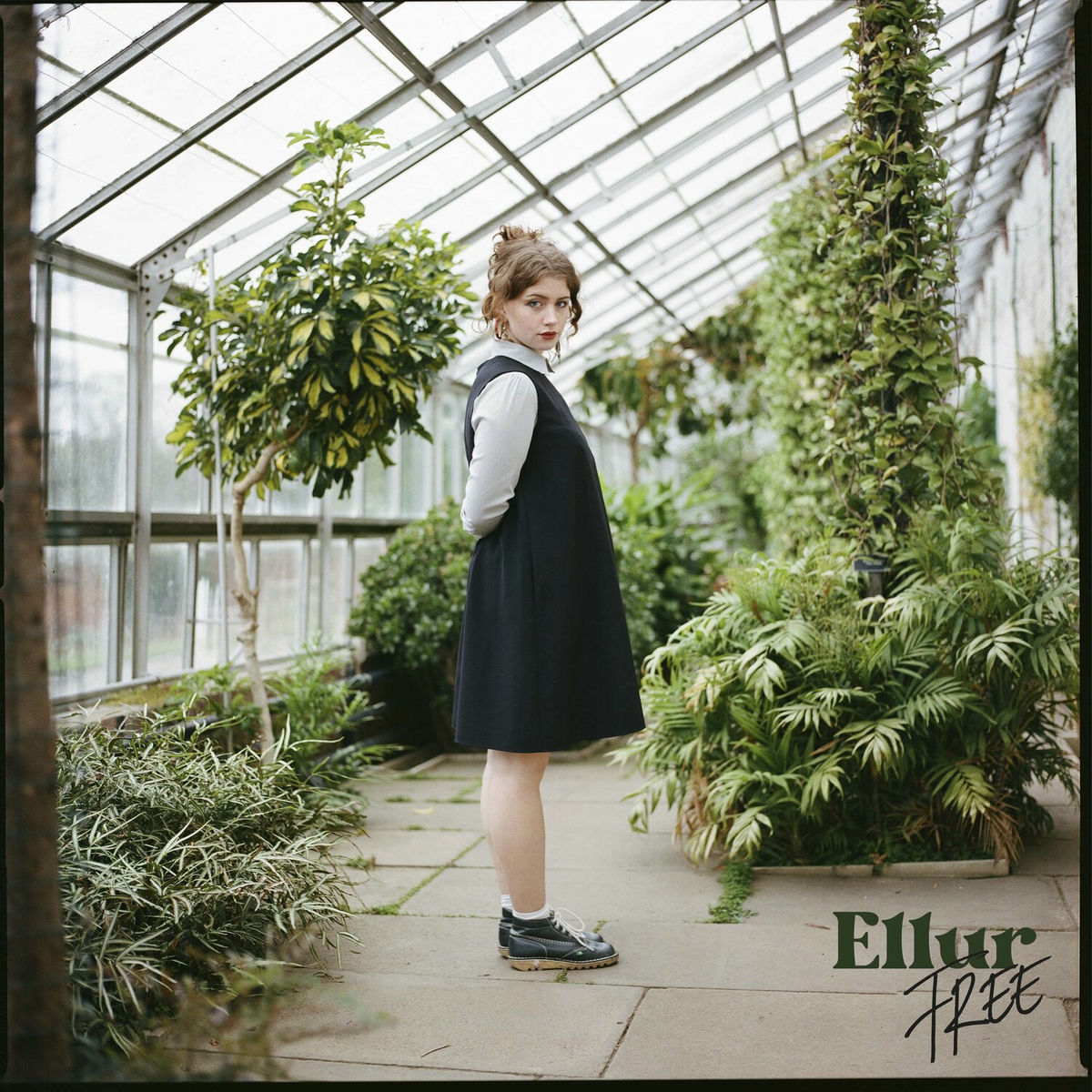 Album cover of Free