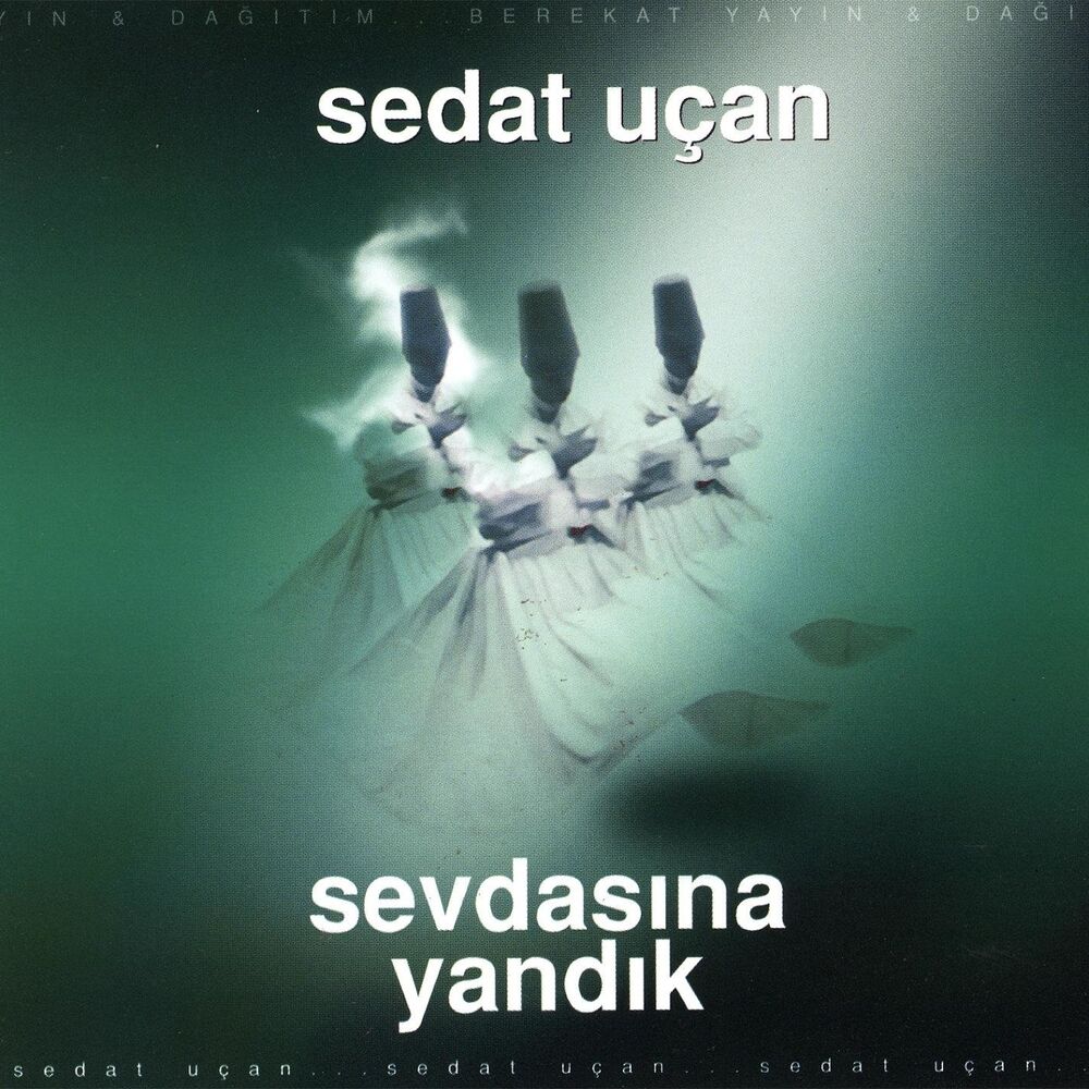 Picture of Sevdasına Yandık