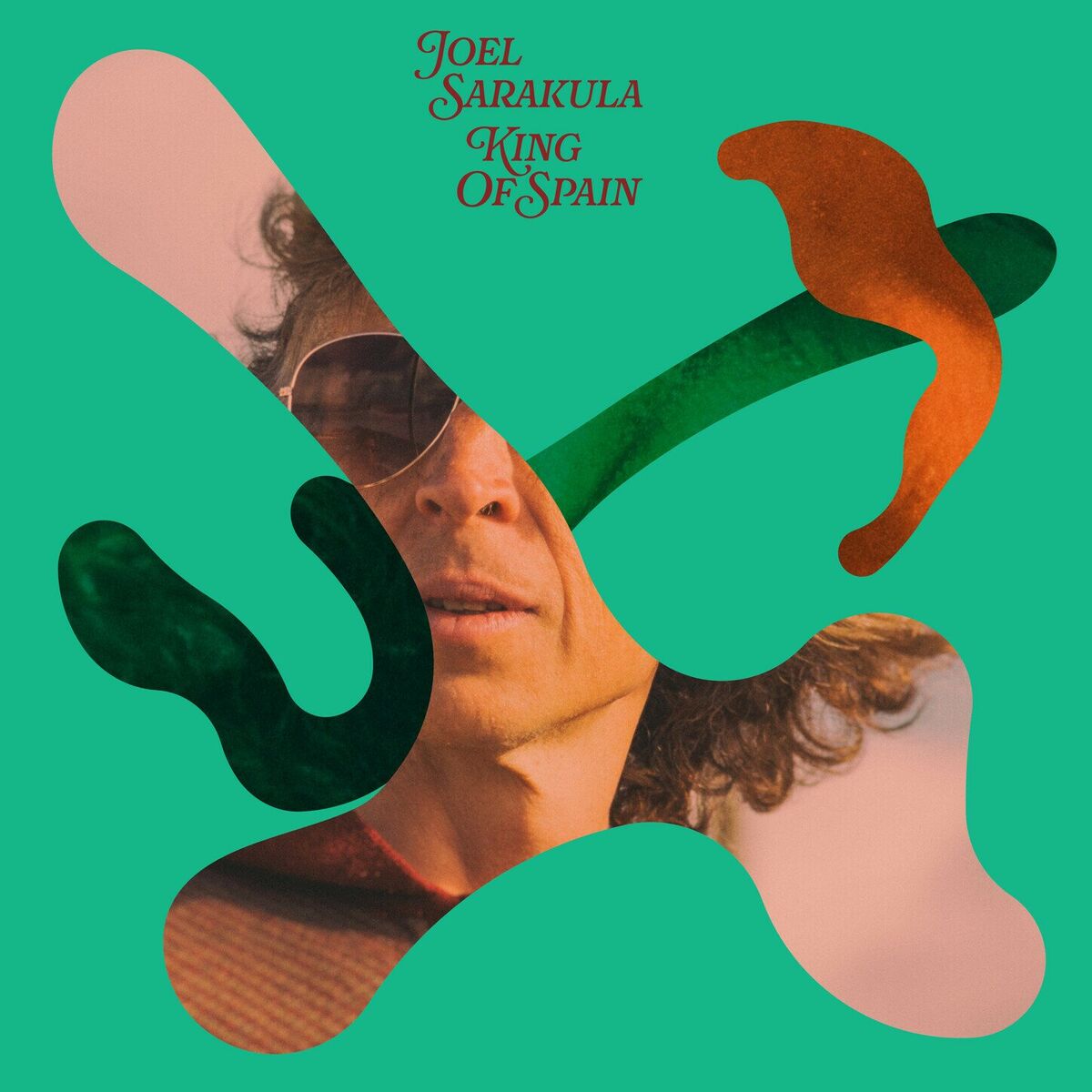 Album cover of King of Spain