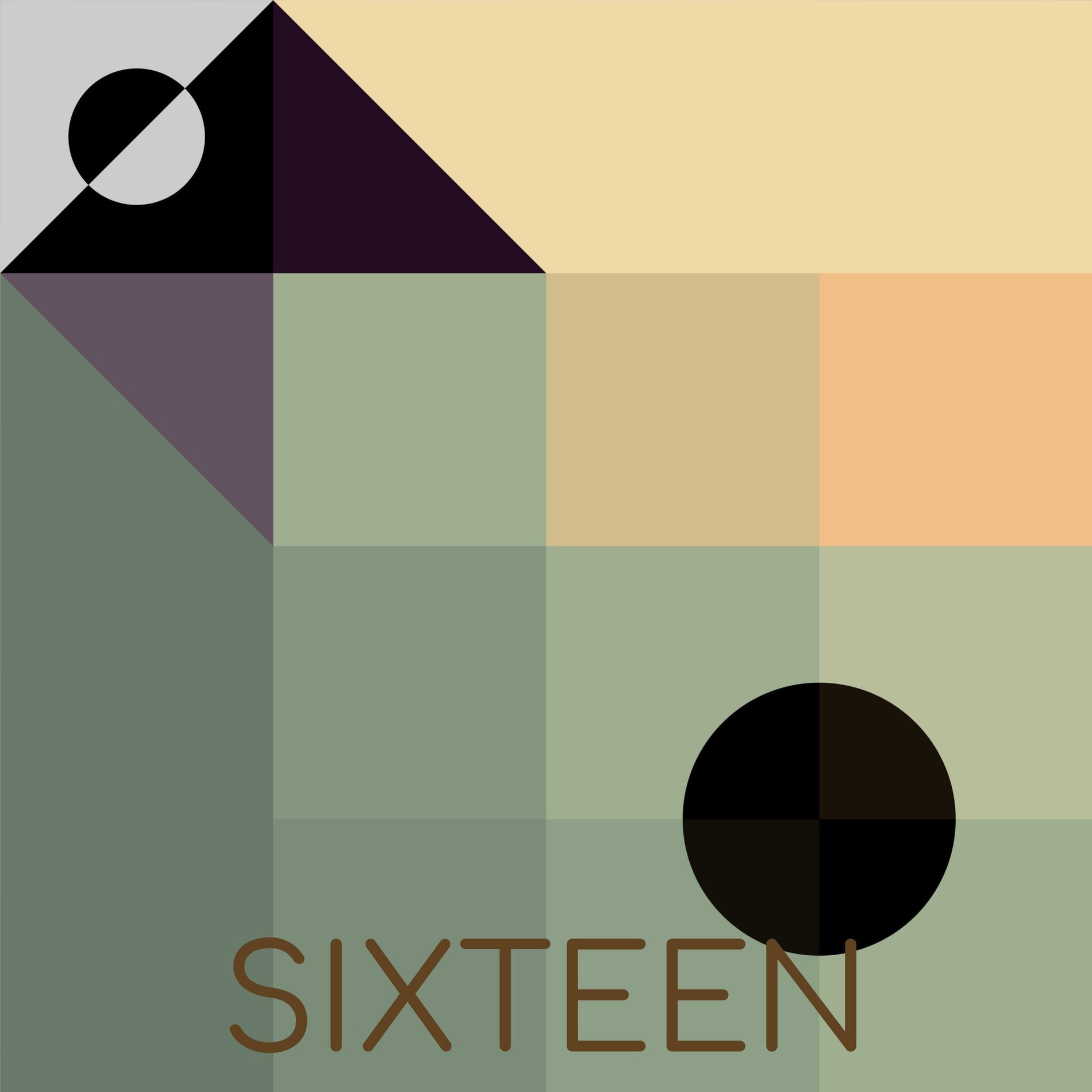 Album cover of Sixteen