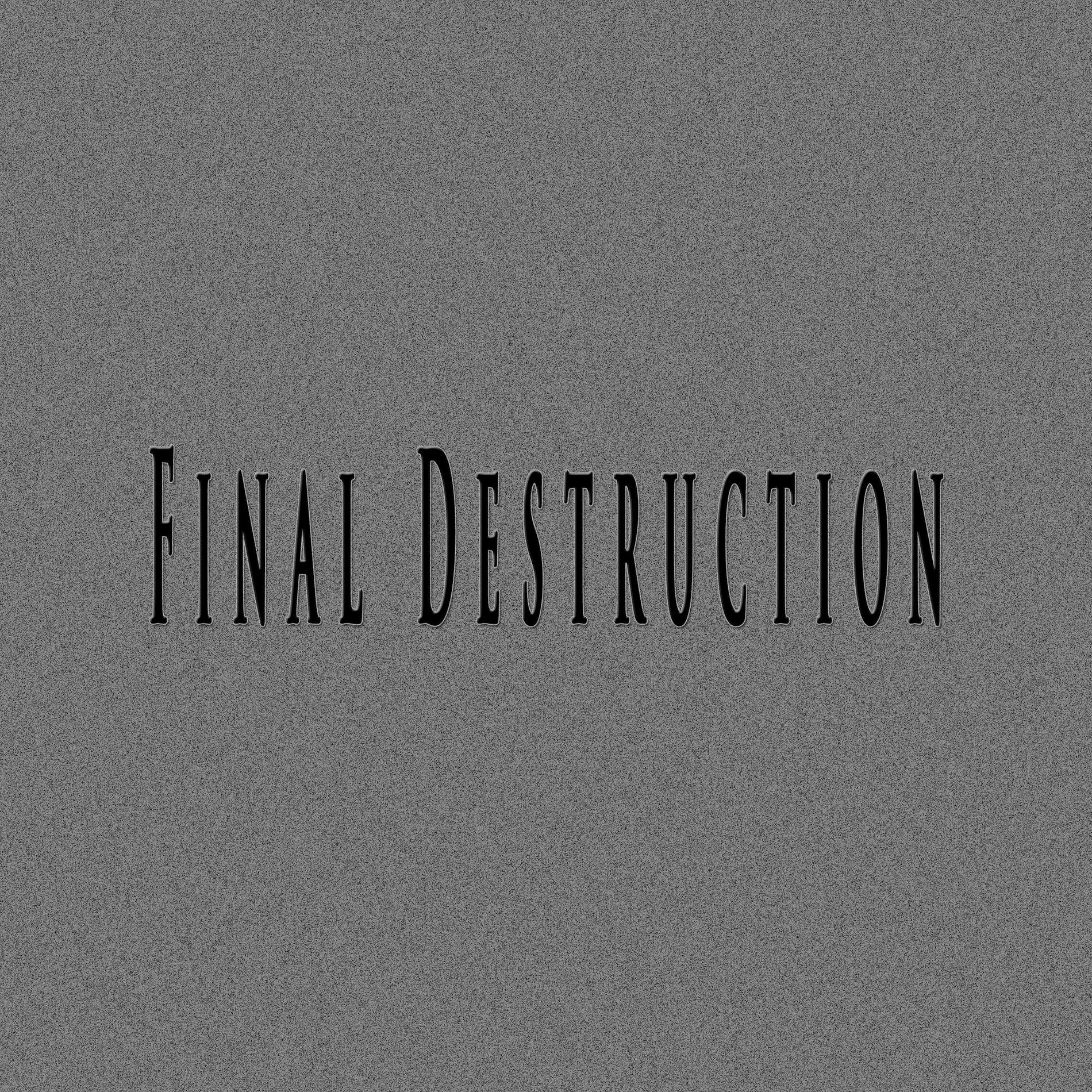 Album cover of Final Destruction (feat. Fifty Vinc & Sero Produktion Beats)