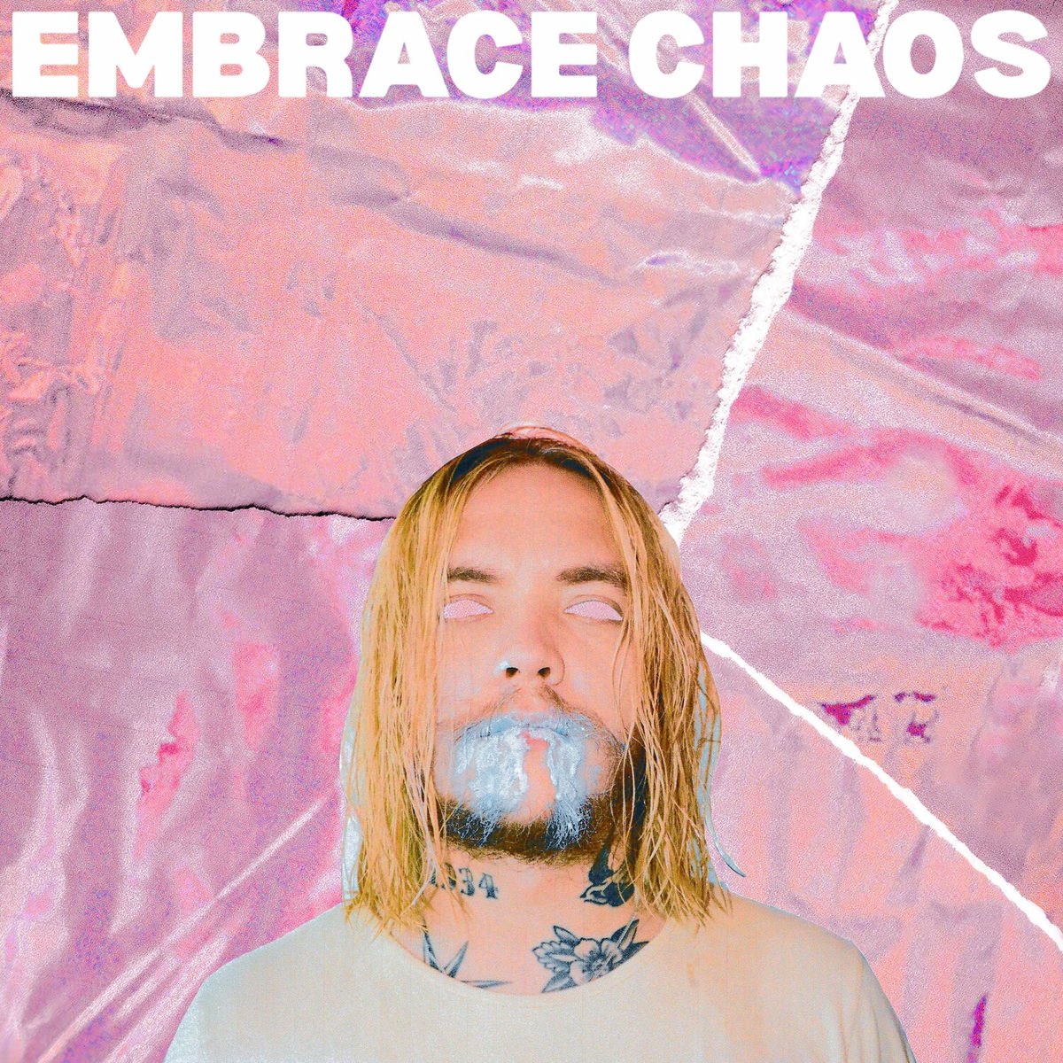 Album cover of EMBRACE CHAOS
