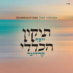 Cover of תיקון הכללי