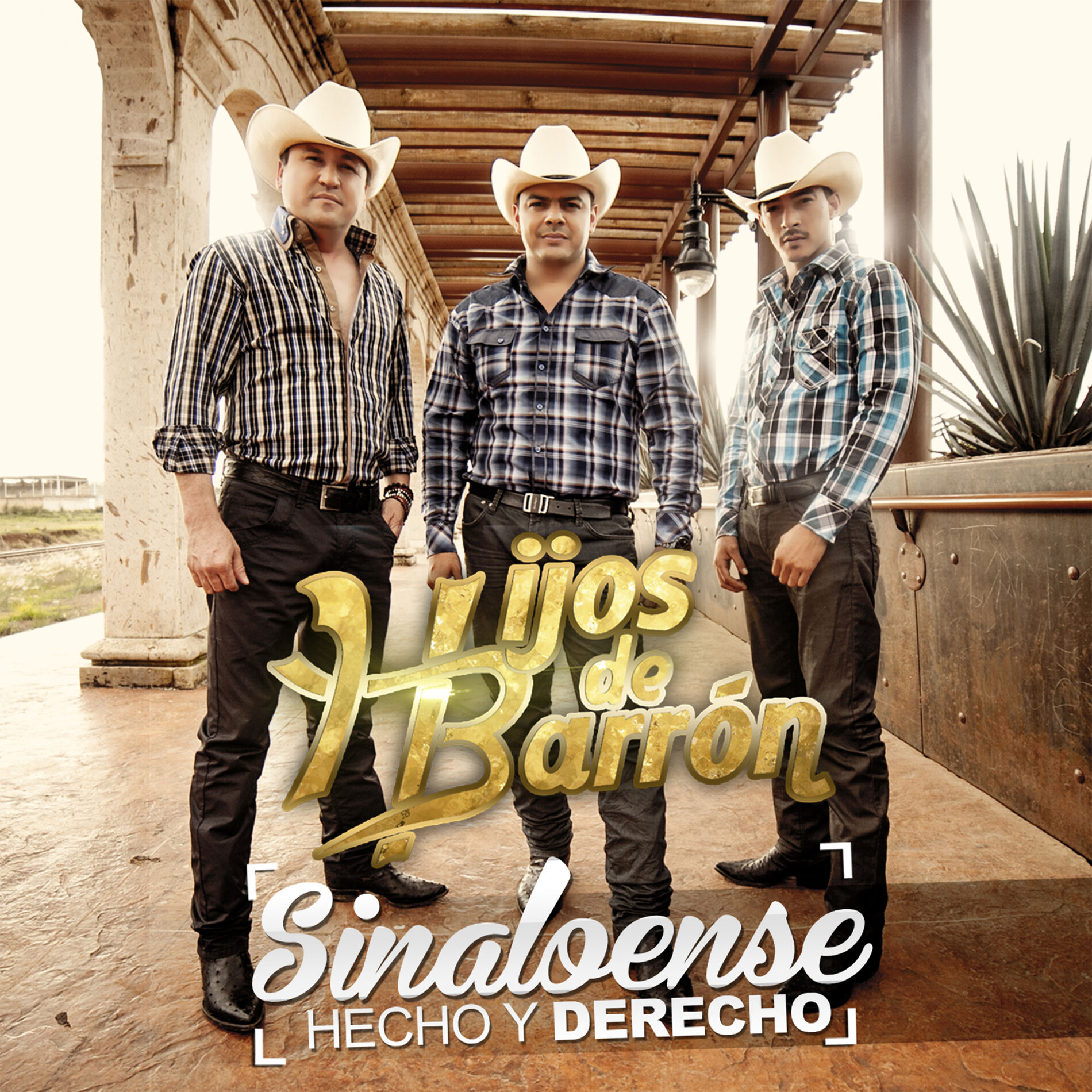 Album cover of Cortinas Guindas