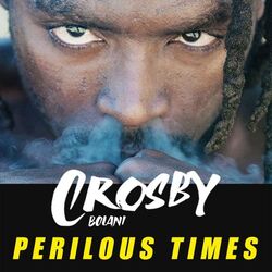 Cover of Perilous Times
