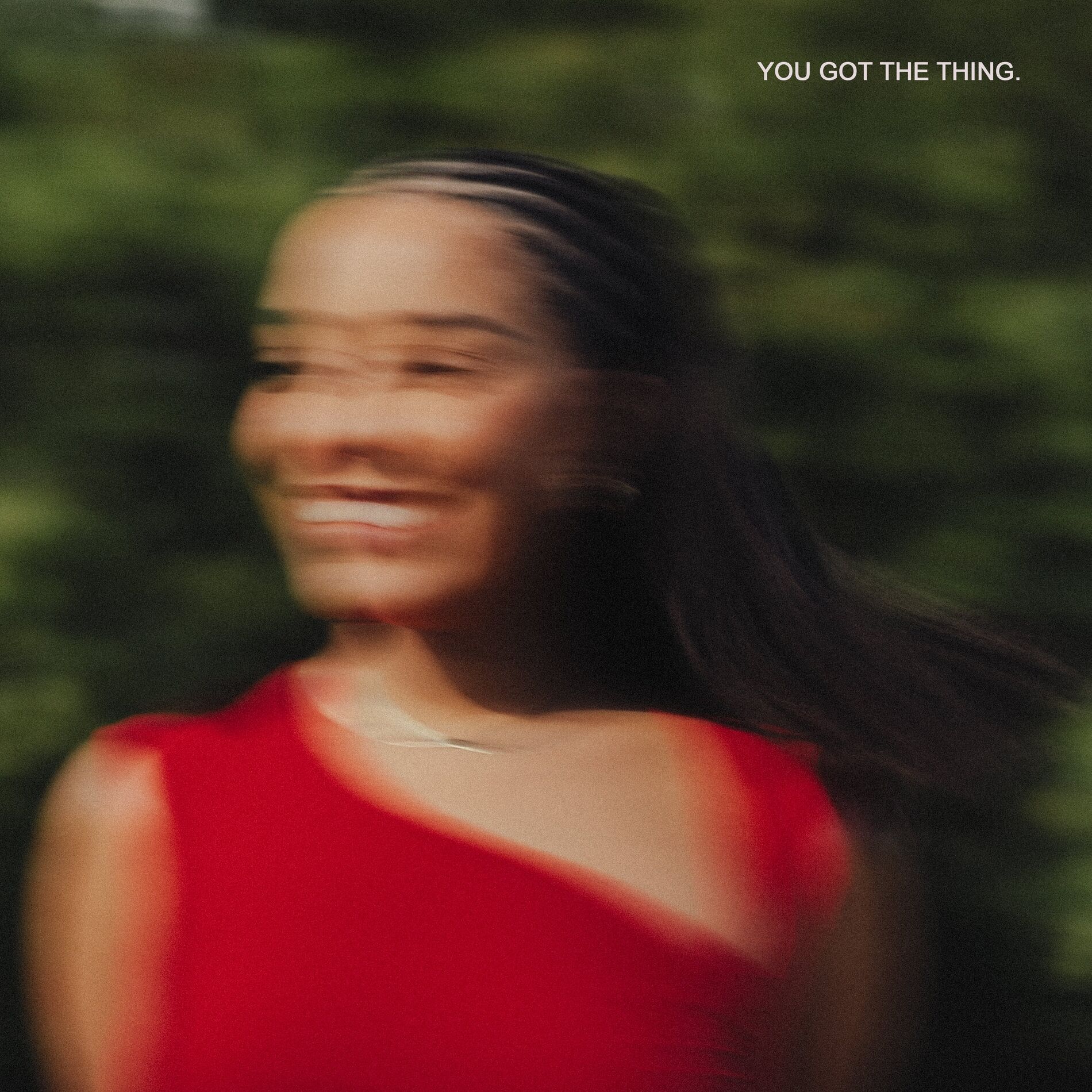 Album cover of You Got The Thing