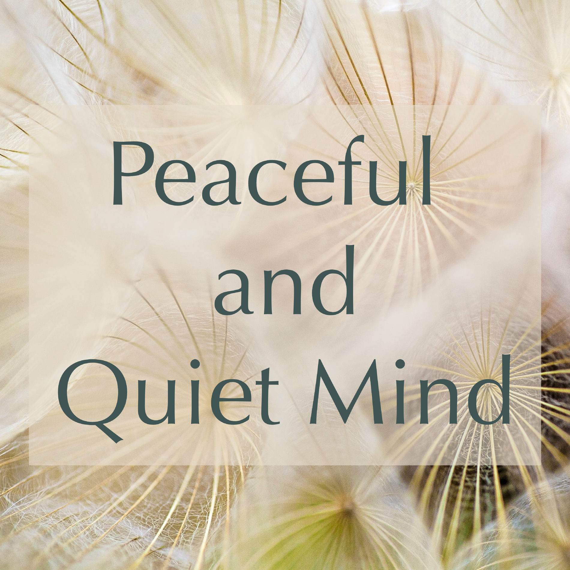 Album cover of Peaceful and Quiet Mind – Soothing Sounds to Prepare Your Mind for a Healthy Meditation