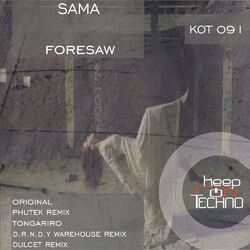Cover of Foresaw