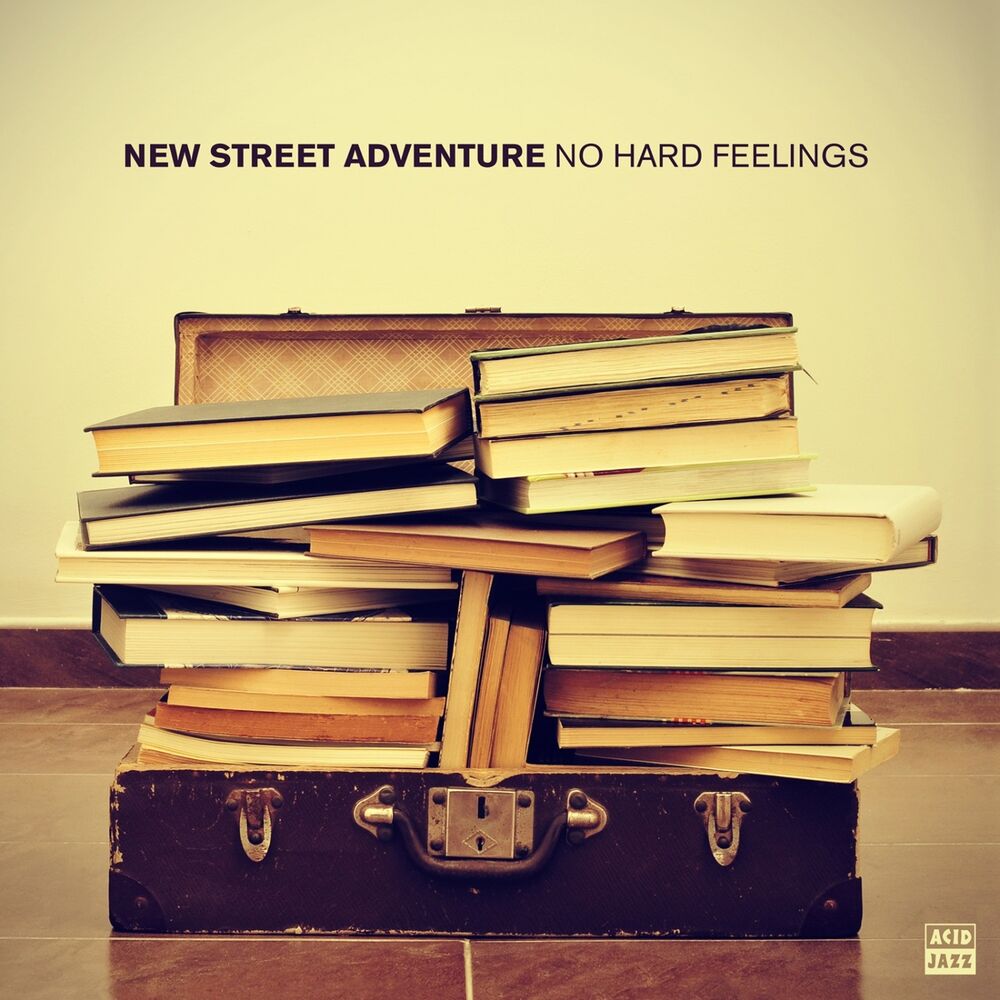Picture of No Hard Feelings