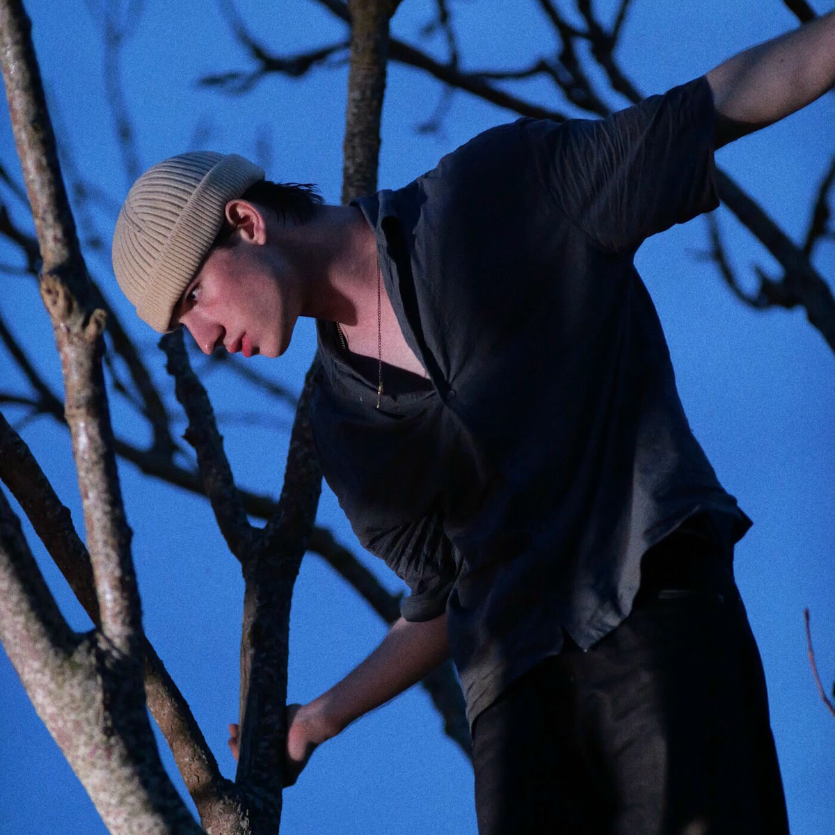 Album cover of Sommer/Frost