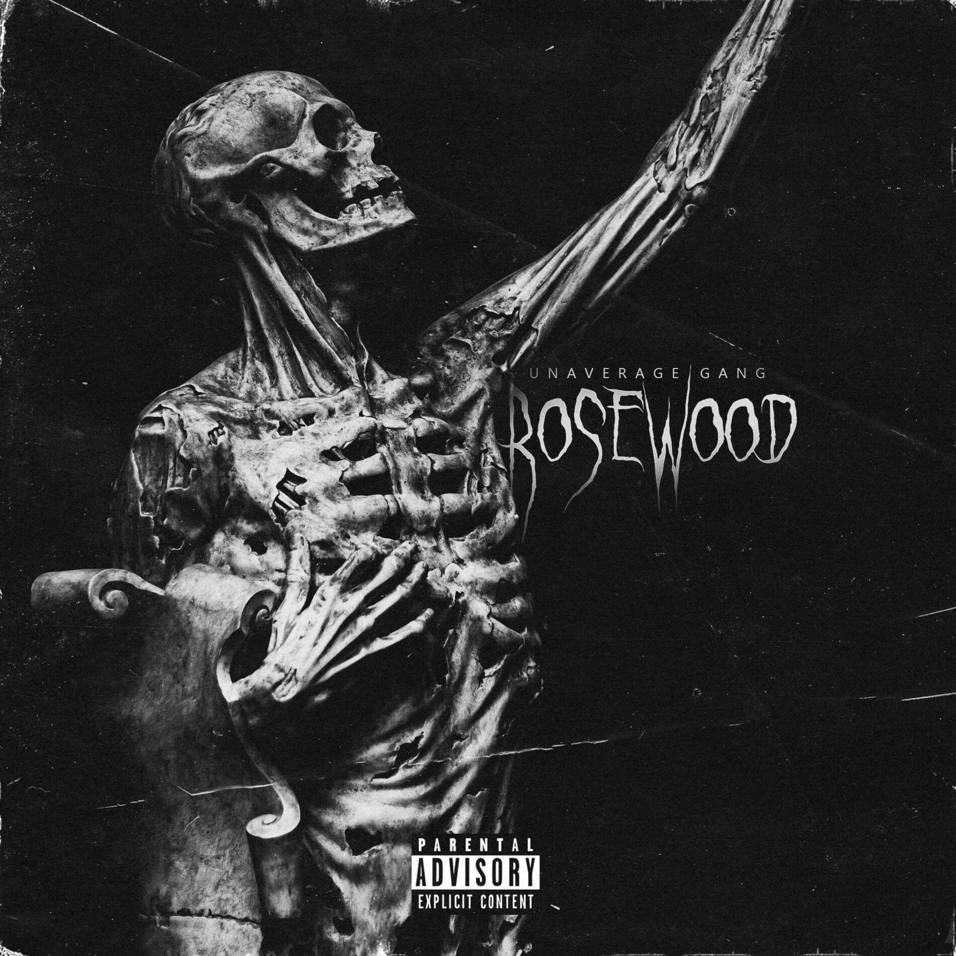 Album cover of Rosewood (feat. Schizo)