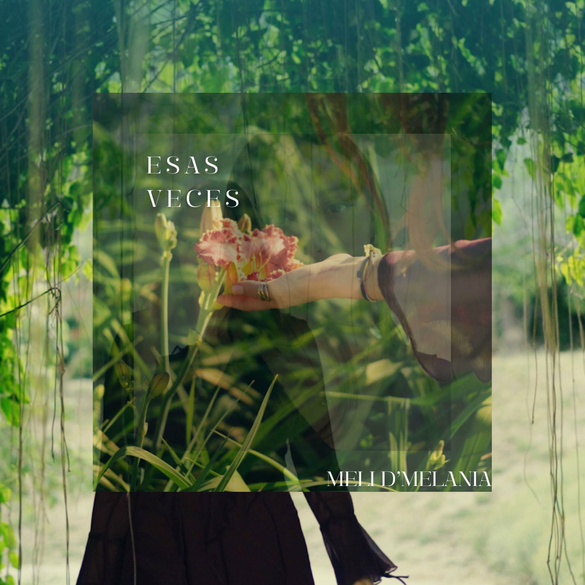 Album cover of Esas veces (feat. Alexio)