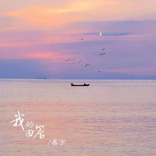 我的回答