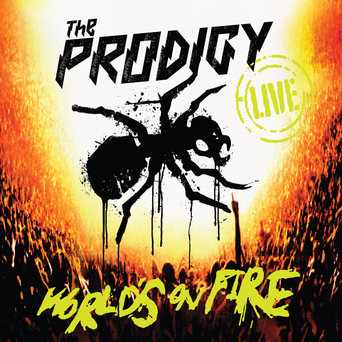 Album cover of Live-World's On Fire