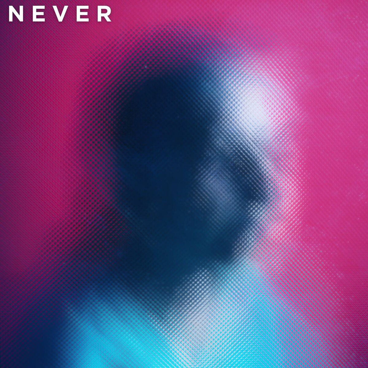 Album cover of Never