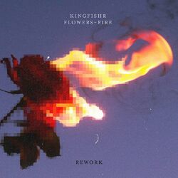 Cover of flowers-fire (rework)