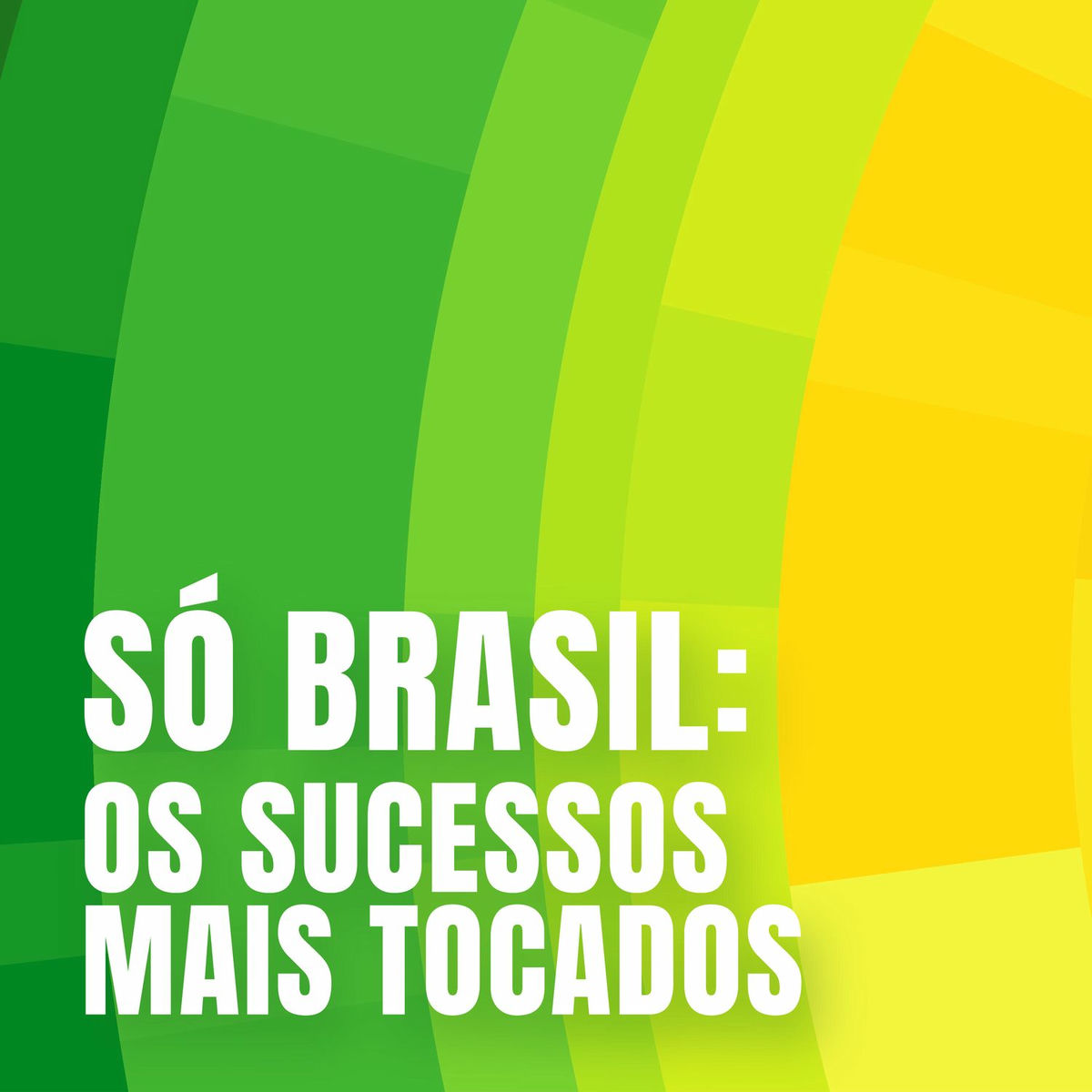 Album cover of Só Brasil: Os Sucessos Mais Tocados