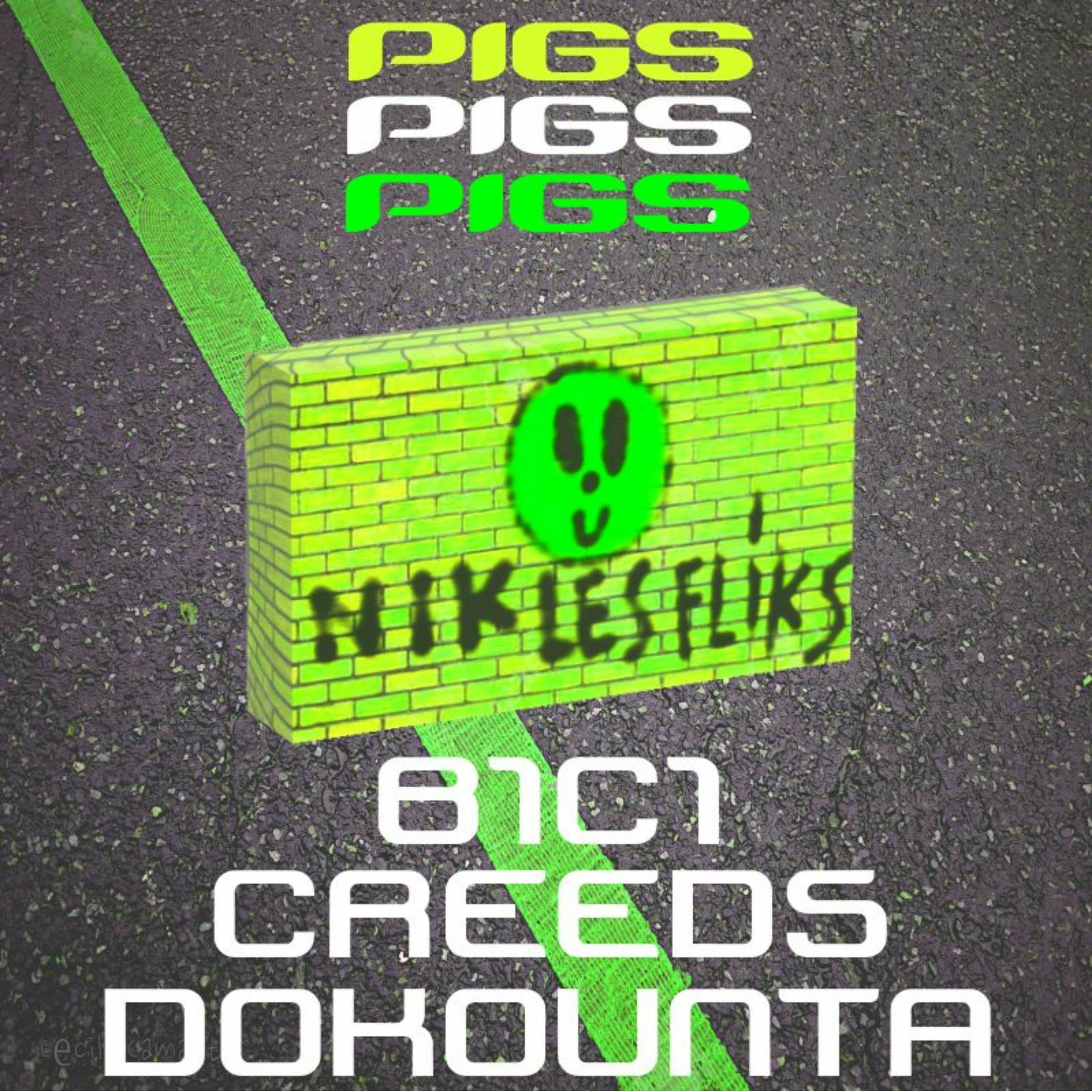 Album cover of Acid Pipo (Nik la bak)