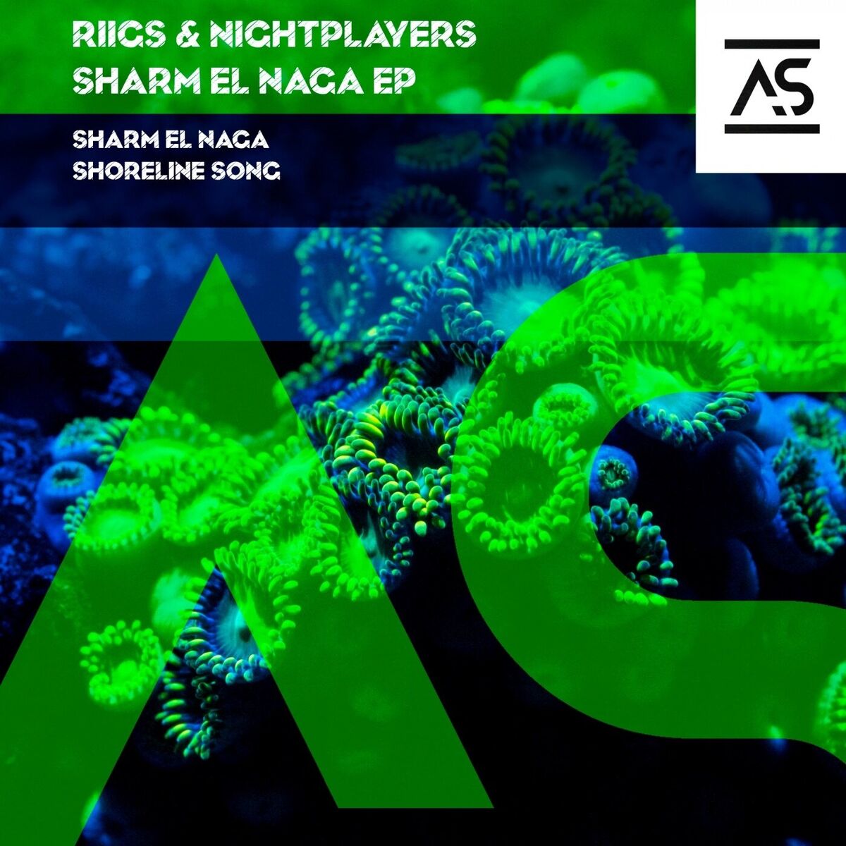 Album cover of Sharm El Naga
