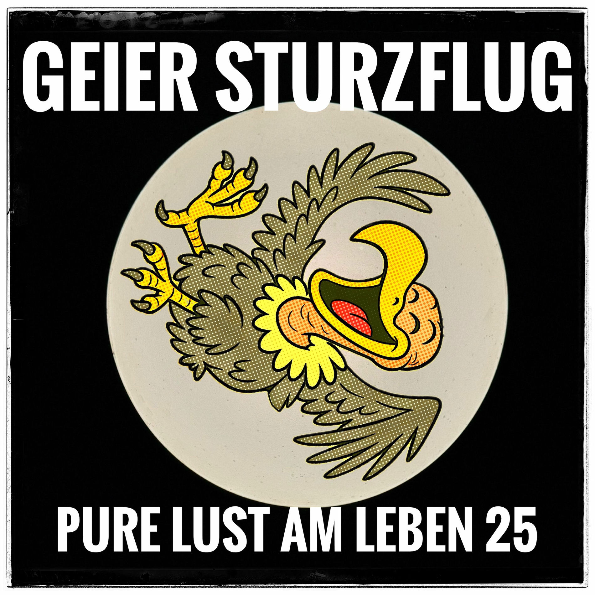 Album cover of Pure Lust am Leben (25)