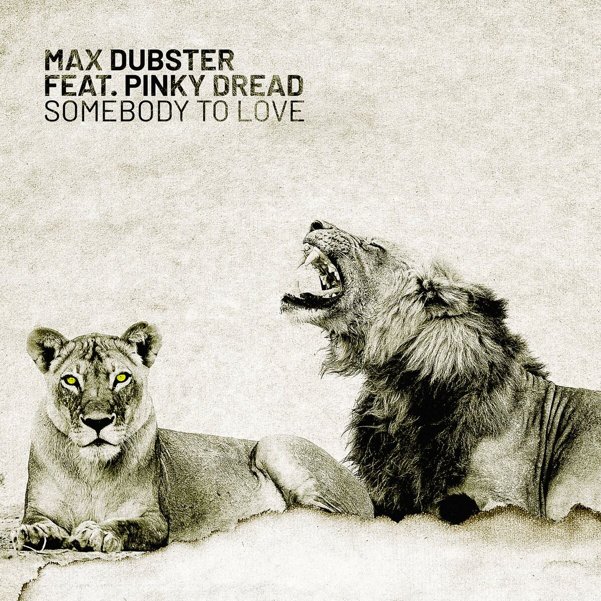 Album cover of Somebody to Love