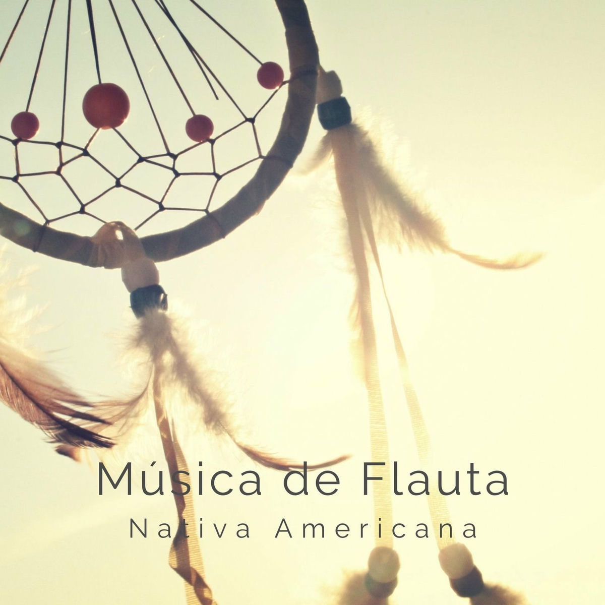 Album cover of Música de Flauta Nativa Americana: 10 Canciones con Flauta Chamánica de los Nativos Americanos