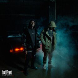 Cover of Phoenix