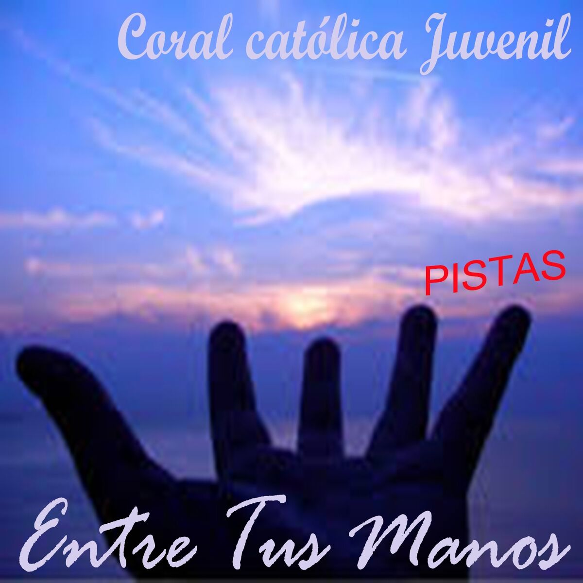 Album cover of Entre Tus Manos