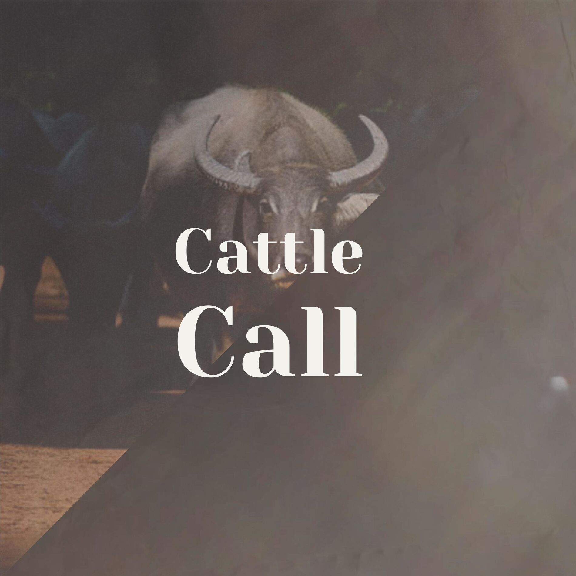 Album cover of Cattle Call