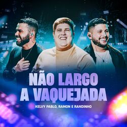 Cover of Não Largo a Vaquejada
