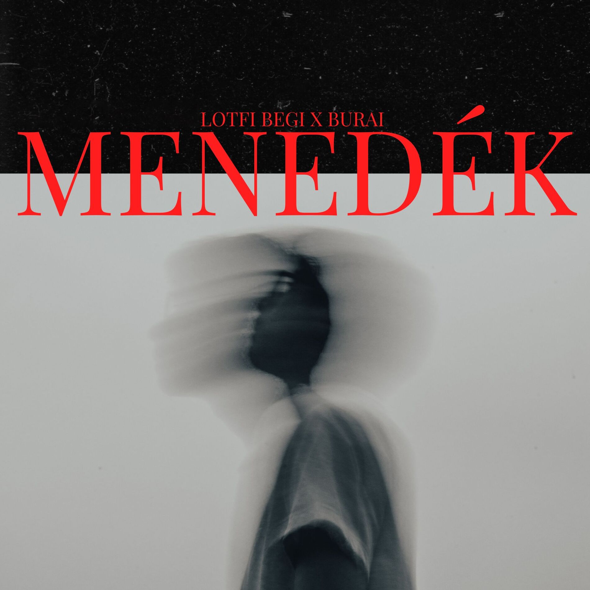 Album cover of Menedék