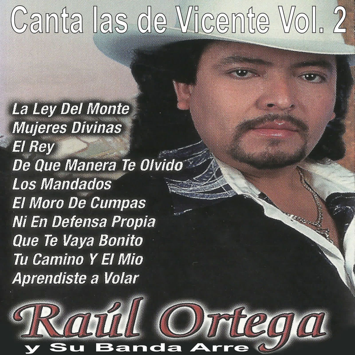 Album cover of Canta Las De Vicente, Vol. 2