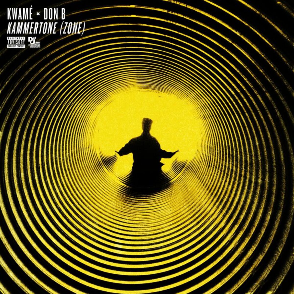 Album cover of Kammertone (zone)