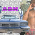 ABM 3