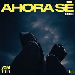 Cover of Ahora Sé (Radio Edit)