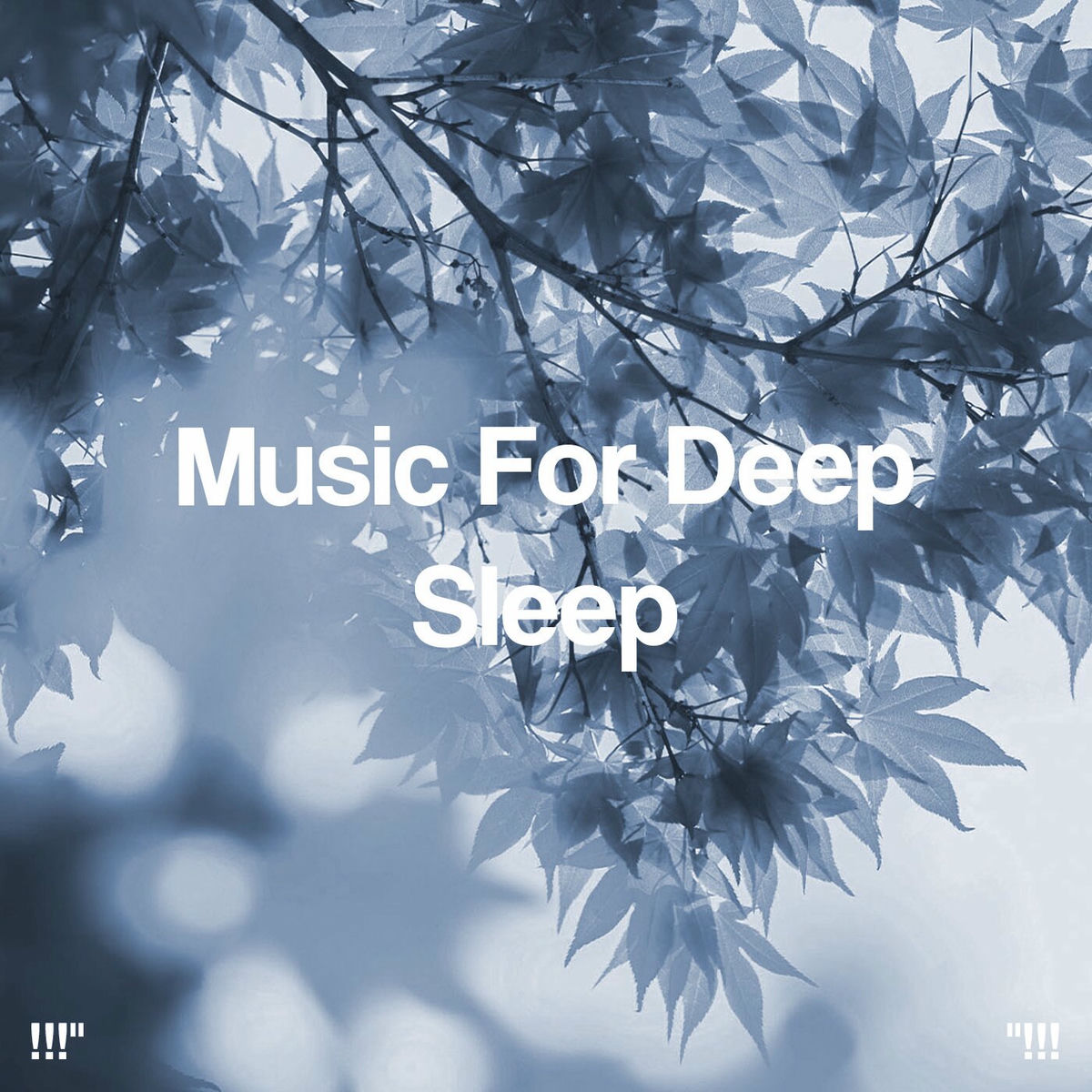 Album cover of Music For Deep Sleep