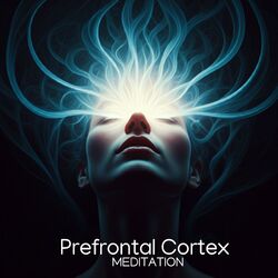 Cover of Prefrontal Cortex Meditation: Cognitive Healing with Deep Focus Frequencies