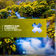 The Days of Innocence by Mhammed El Alami album cover