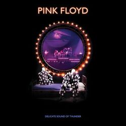 Cover of Learning to Fly (Delicate Sound Of Thunder Remix, 2020 Edit Live)