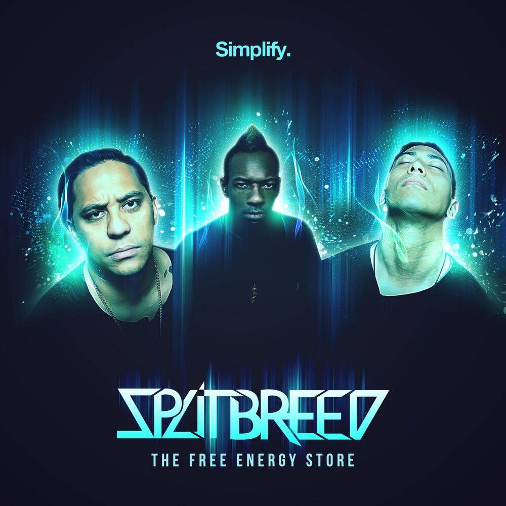 Picture of The Free Energy Store
