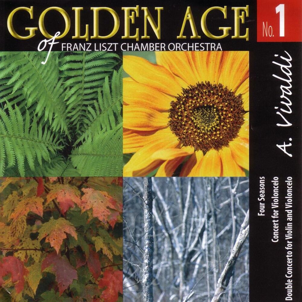 Picture of Golden Age Of Franz Liszt Chamber Orchestra No. 1