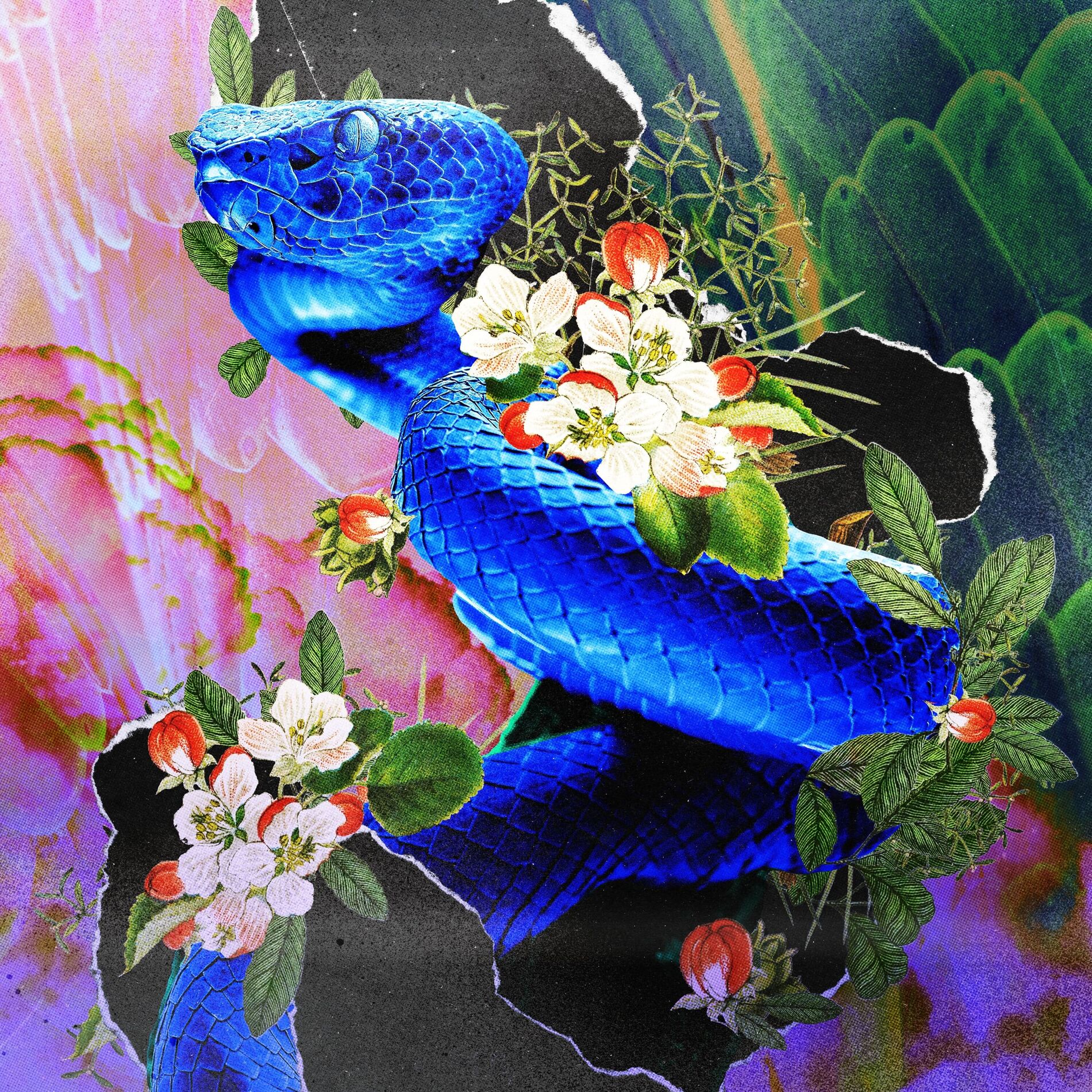 Album cover of asiatic.wav Vol.3