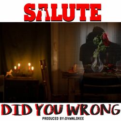 Cover of Did You Wrong
