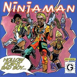 Cover of Hollow Point Bad Boy