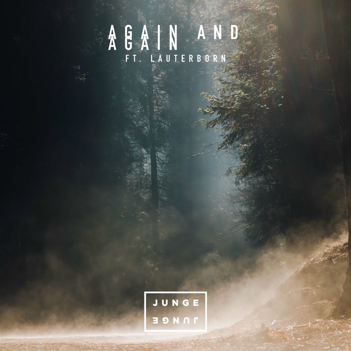 Album cover of Again And Again